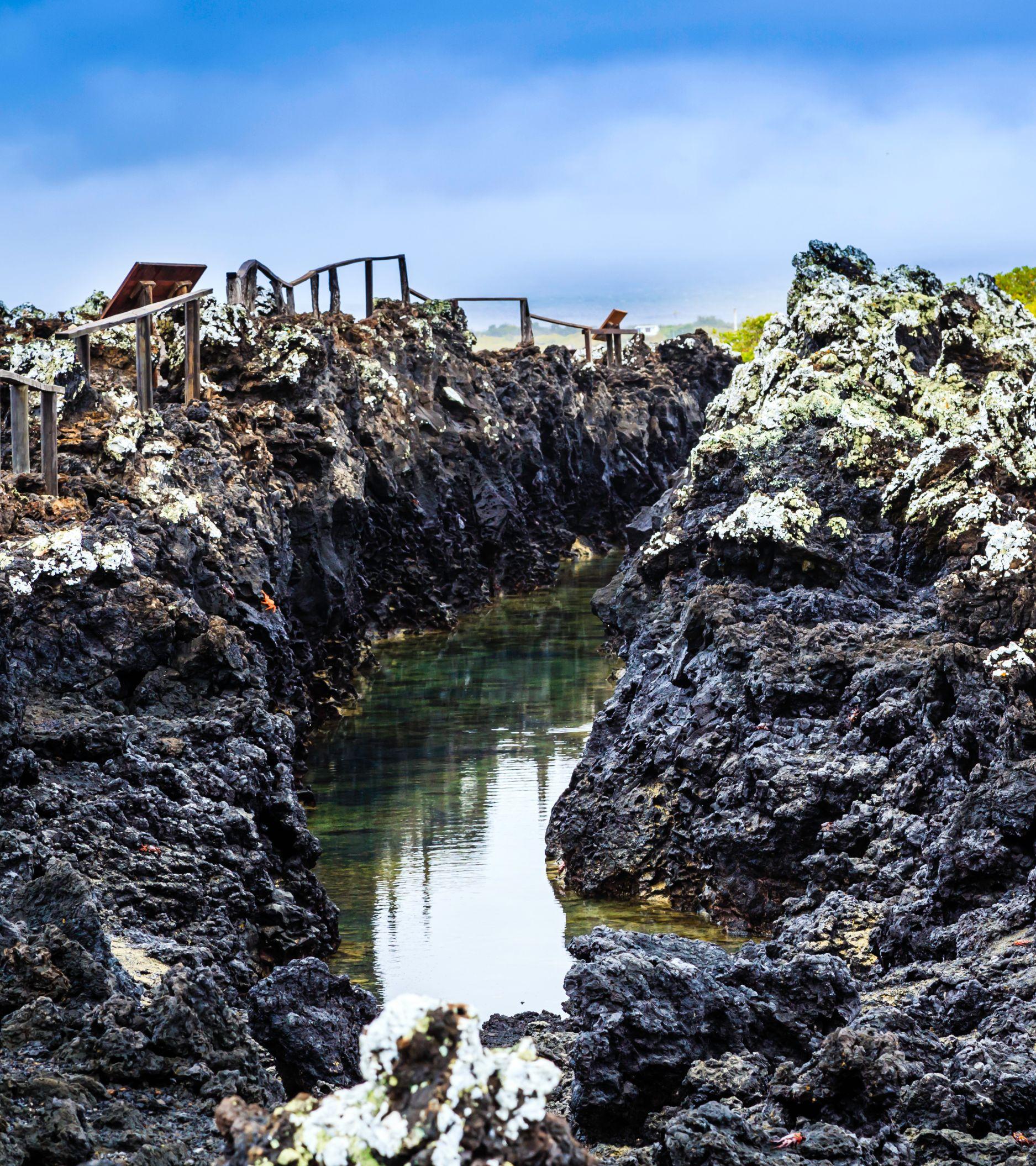isabela-island-lagoons_Mobile
