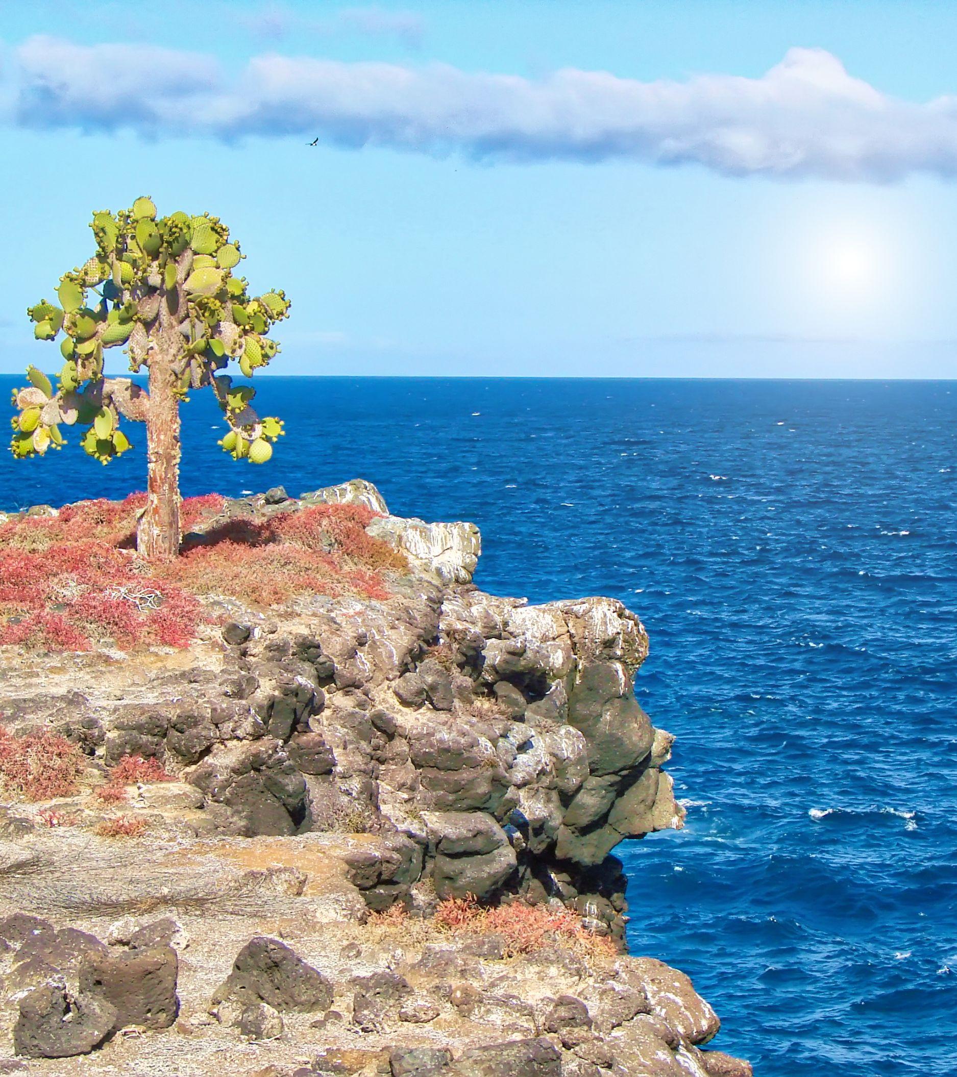 sotuh-plaza-island-cliff-landscape_Mobile