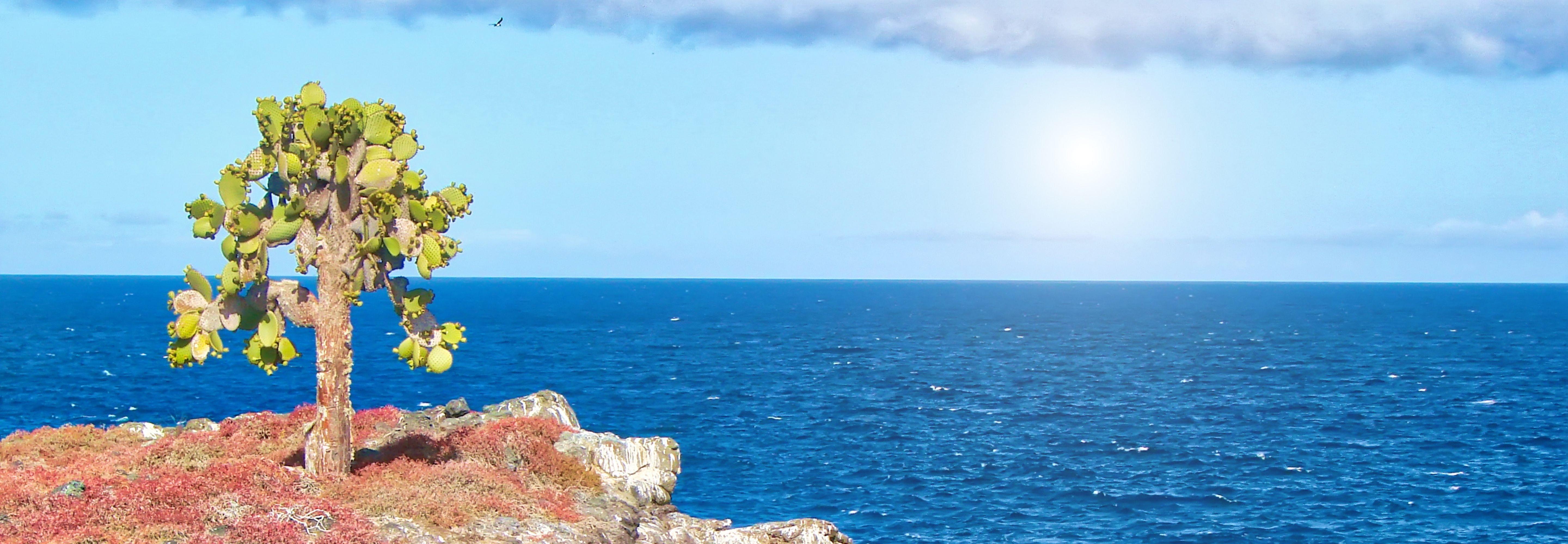sotuh-plaza-island-cliff-landscape_PC