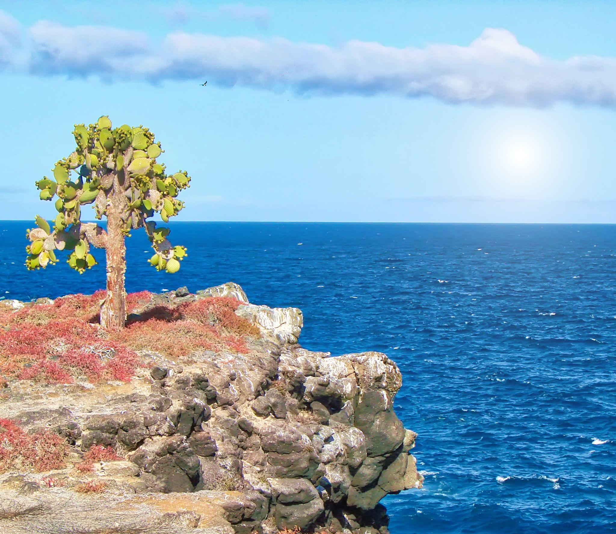 sotuh-plaza-island-cliff-landscape_Tablet