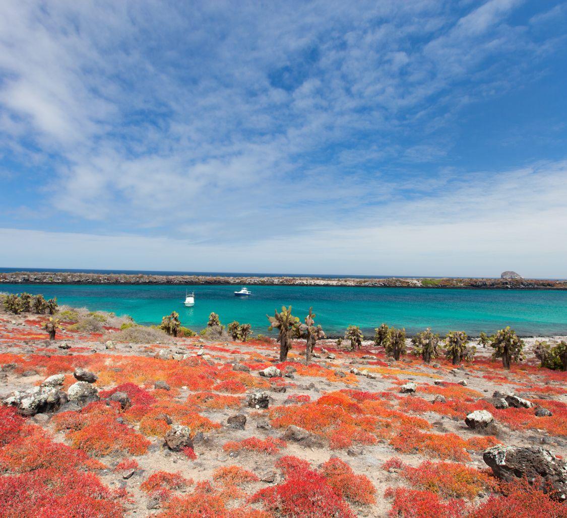 south-plaza-island-landscape_Mobile