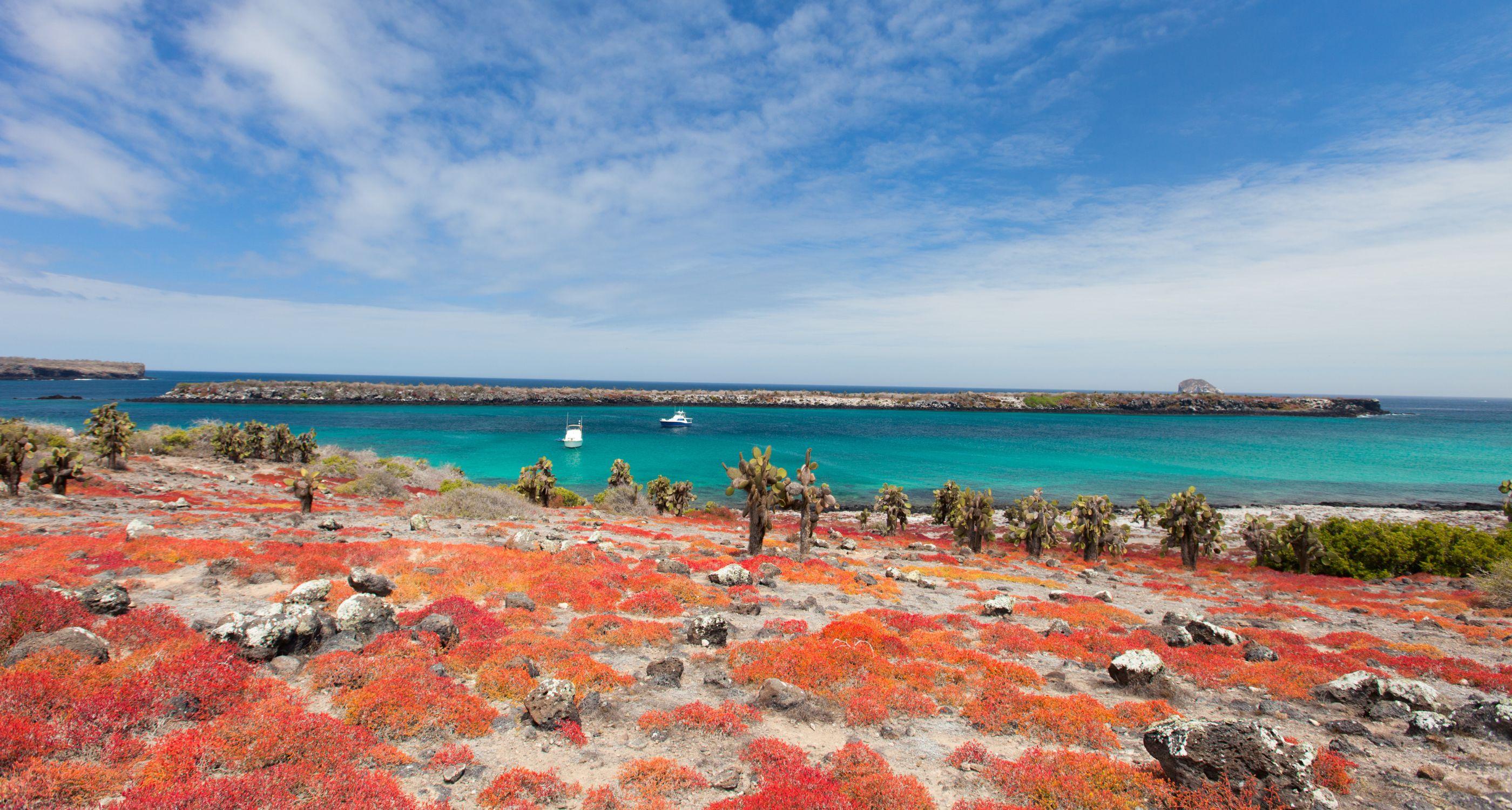 south-plaza-island-landscape_Tablet