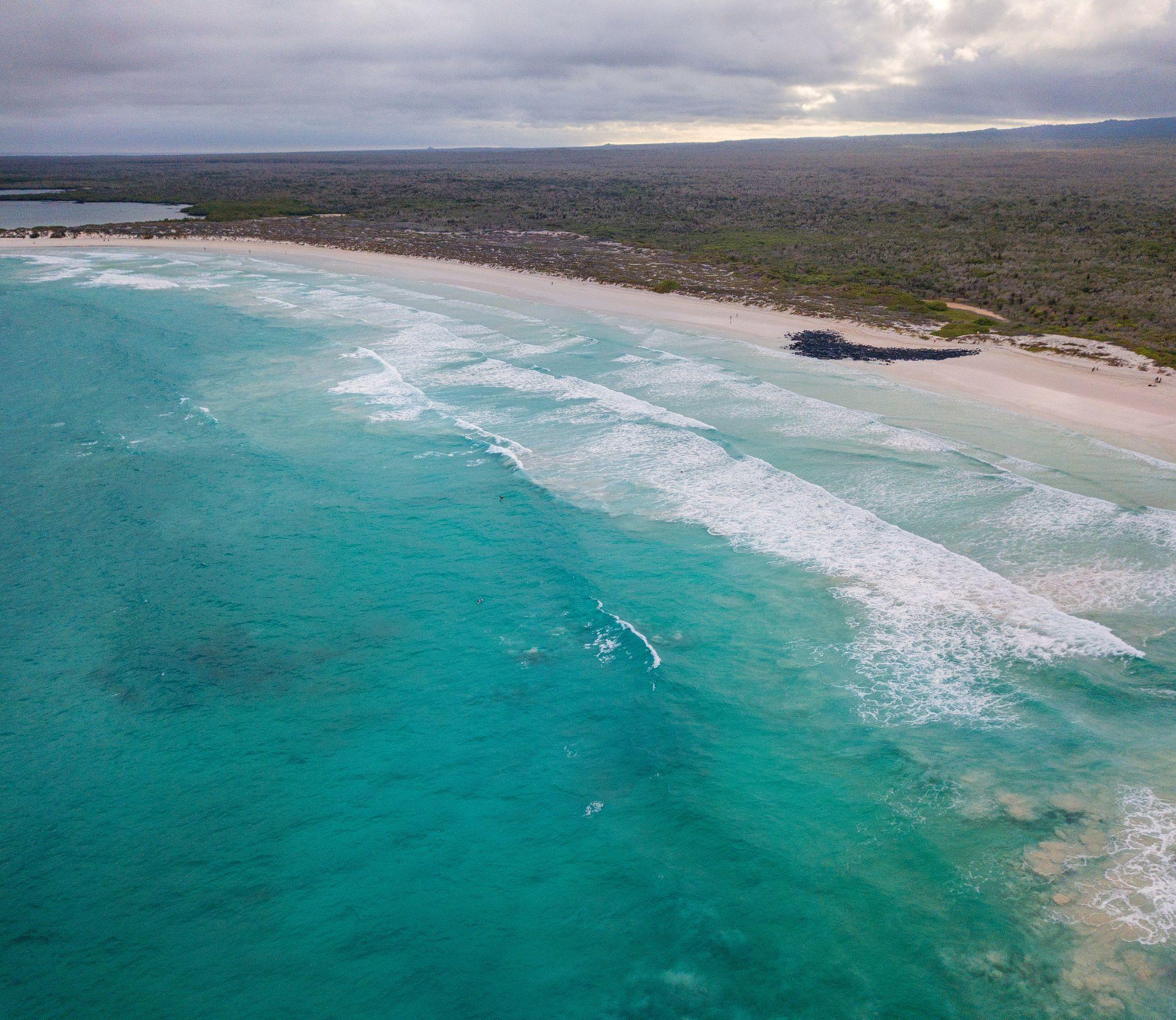 tortuga-bay-santa-cruz-island_0_Tablet