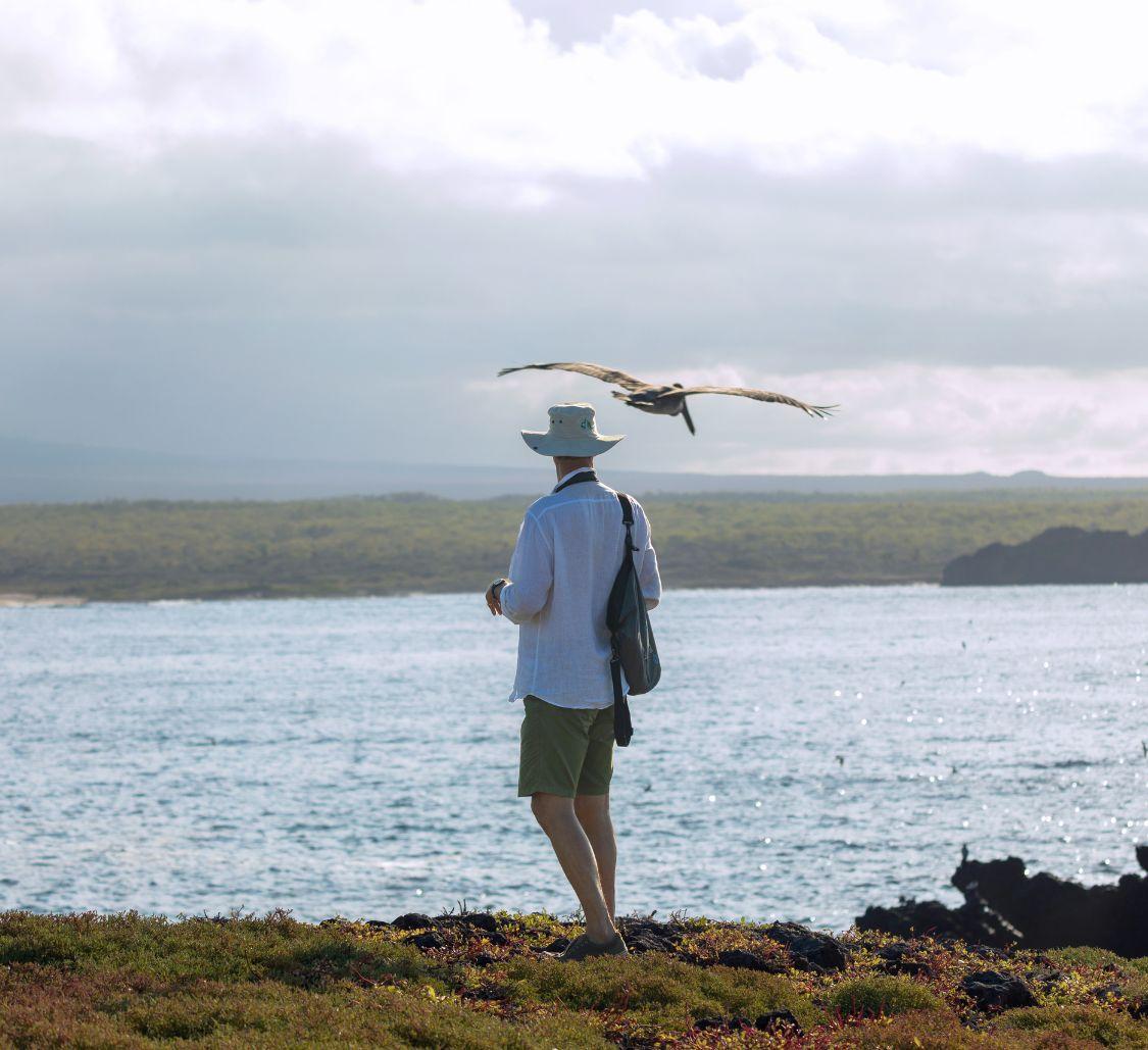 galapagosbird_Mobile
