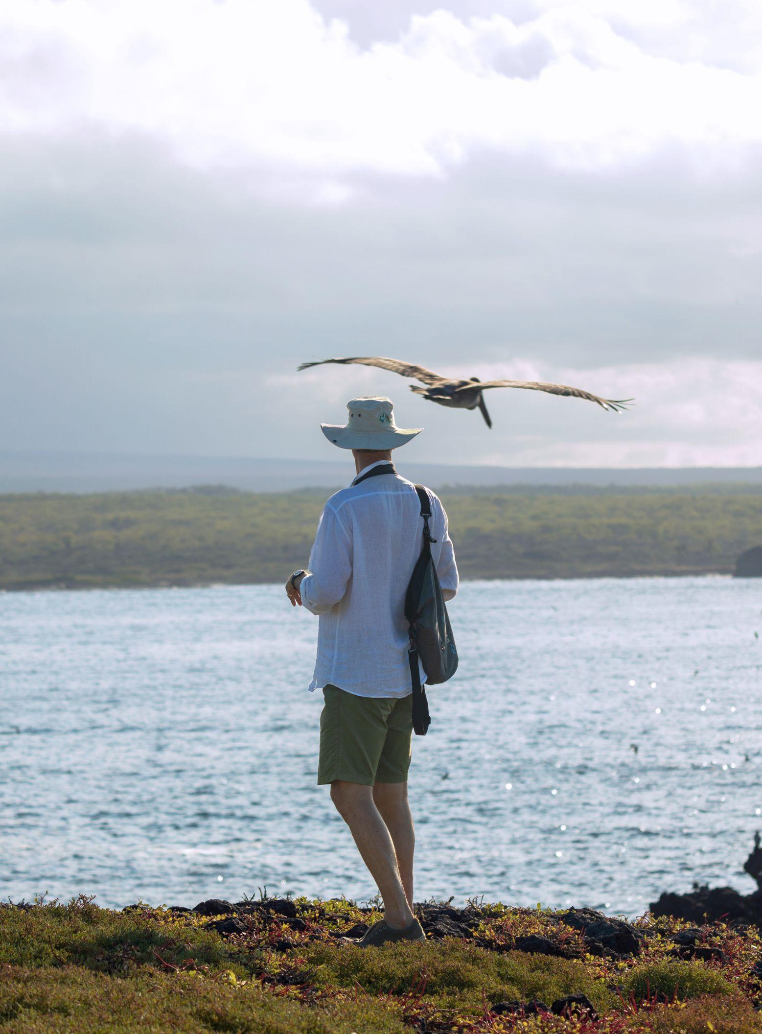 galapagosbird_PC
