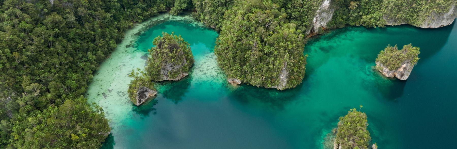 Explore Cape Papisol