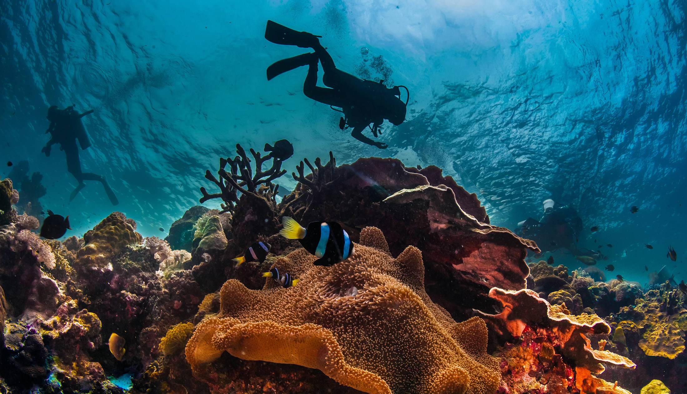 Seychelles and Tanzania cruise