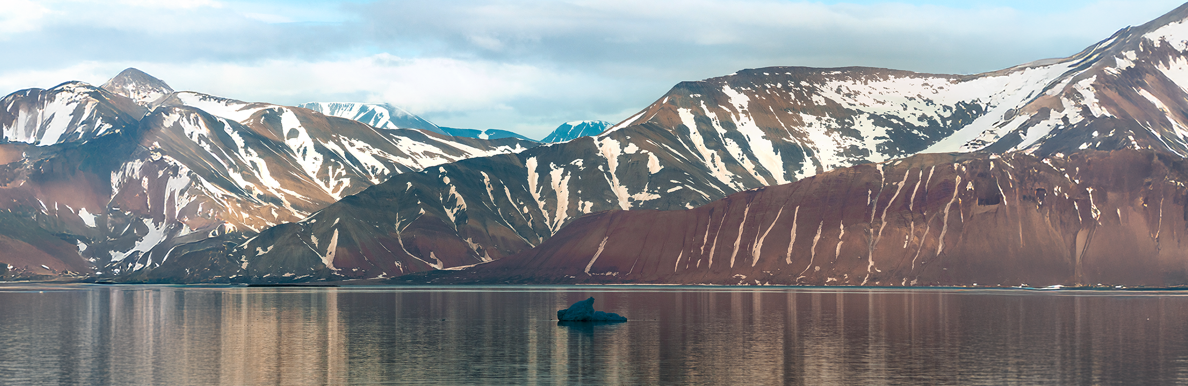 Arctic