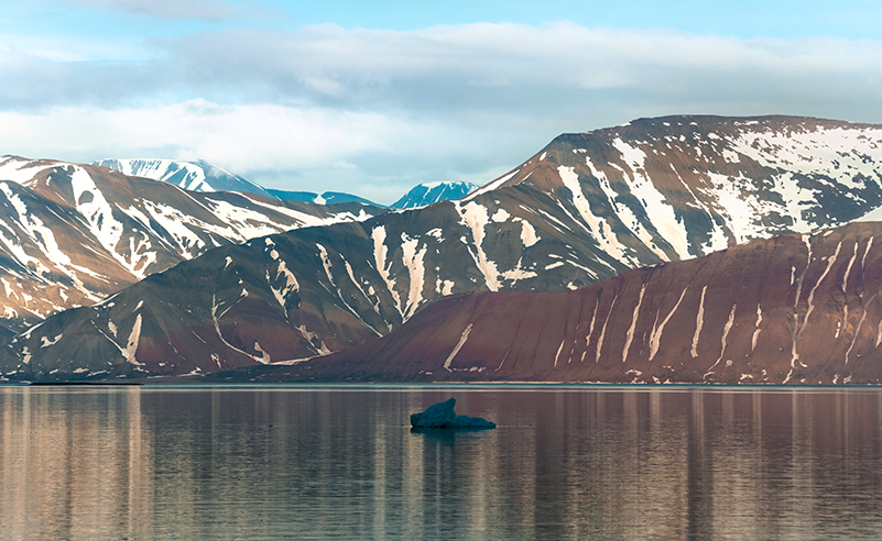 Arctic