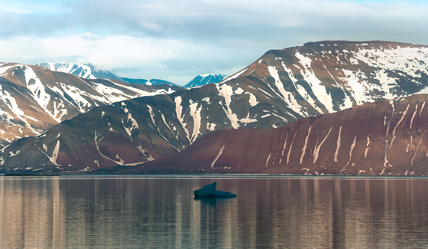 Arctic