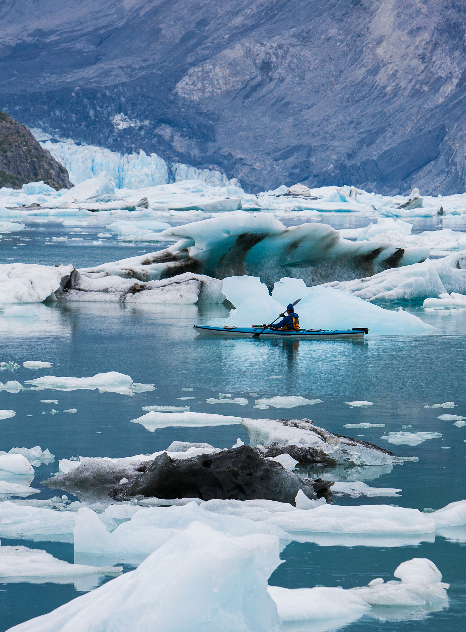 Arctic