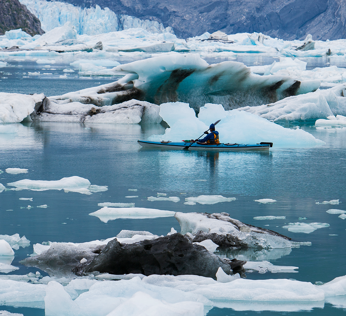 Arctic