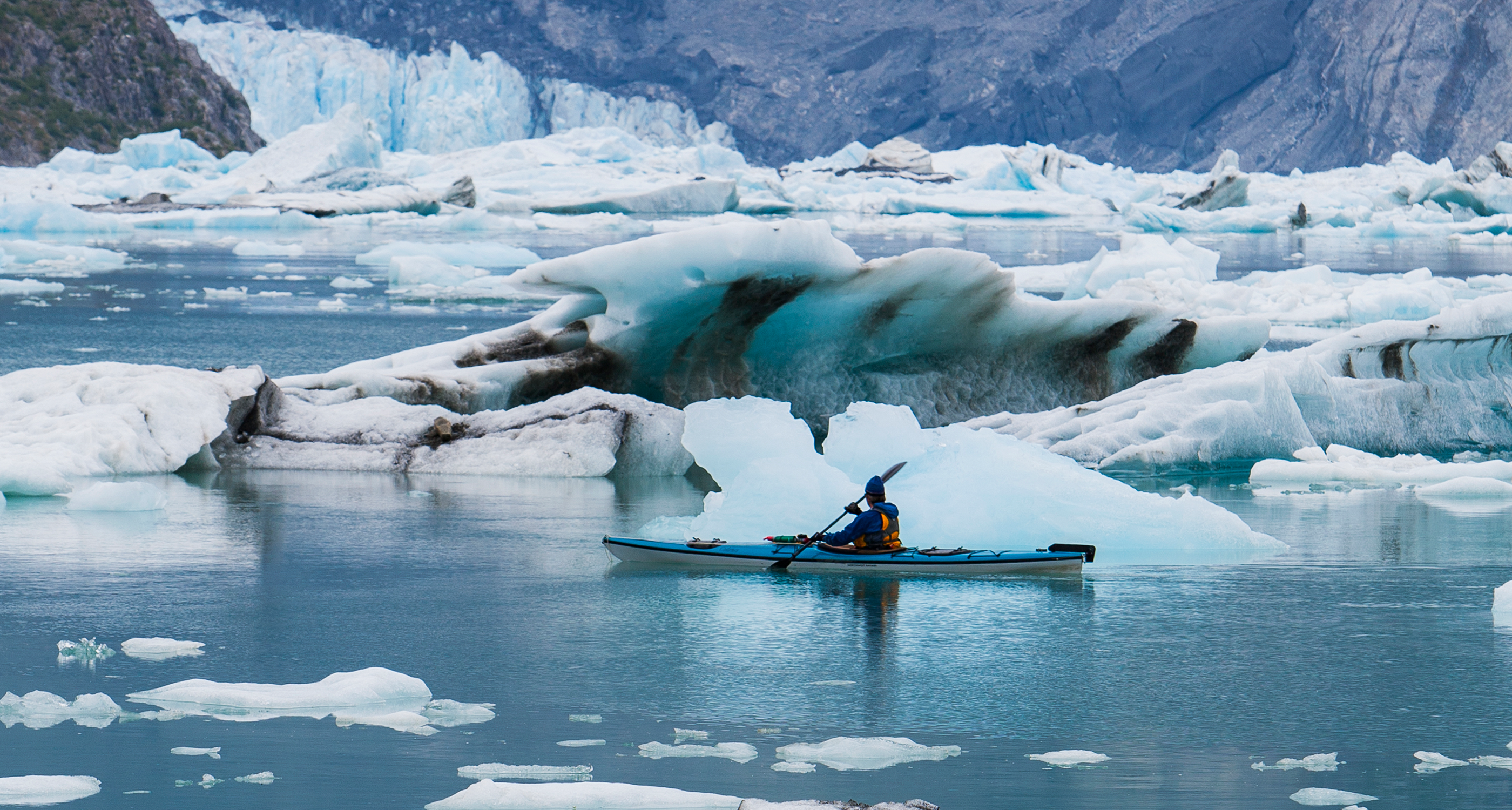 Arctic