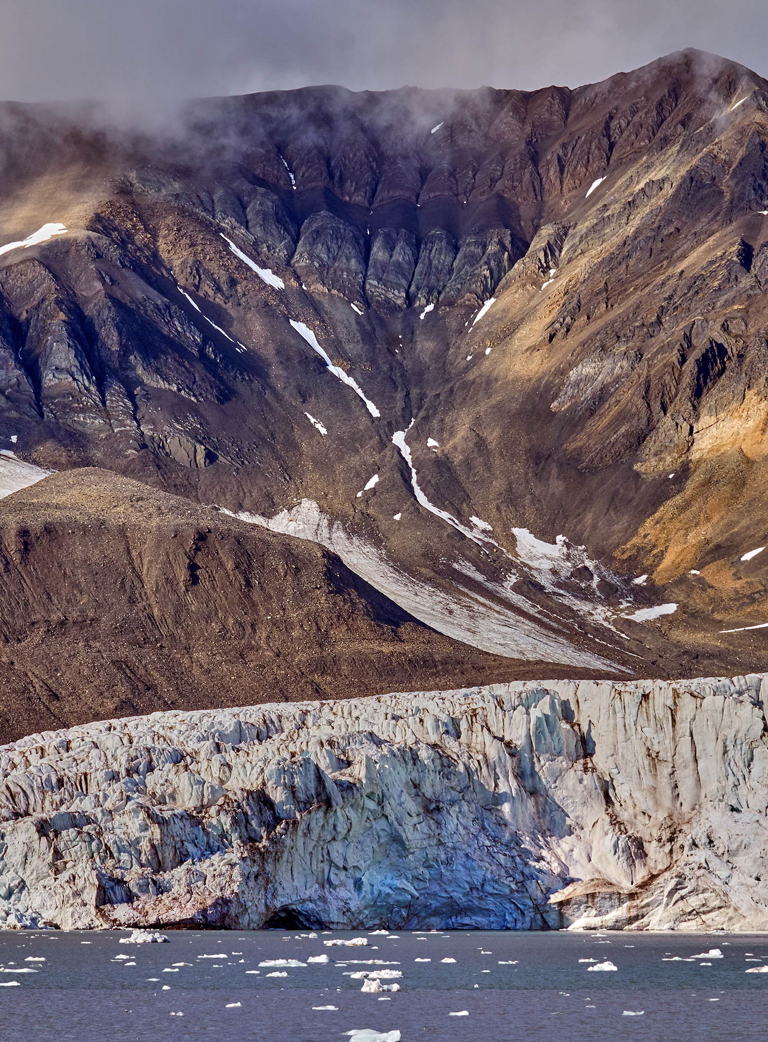 Arctic