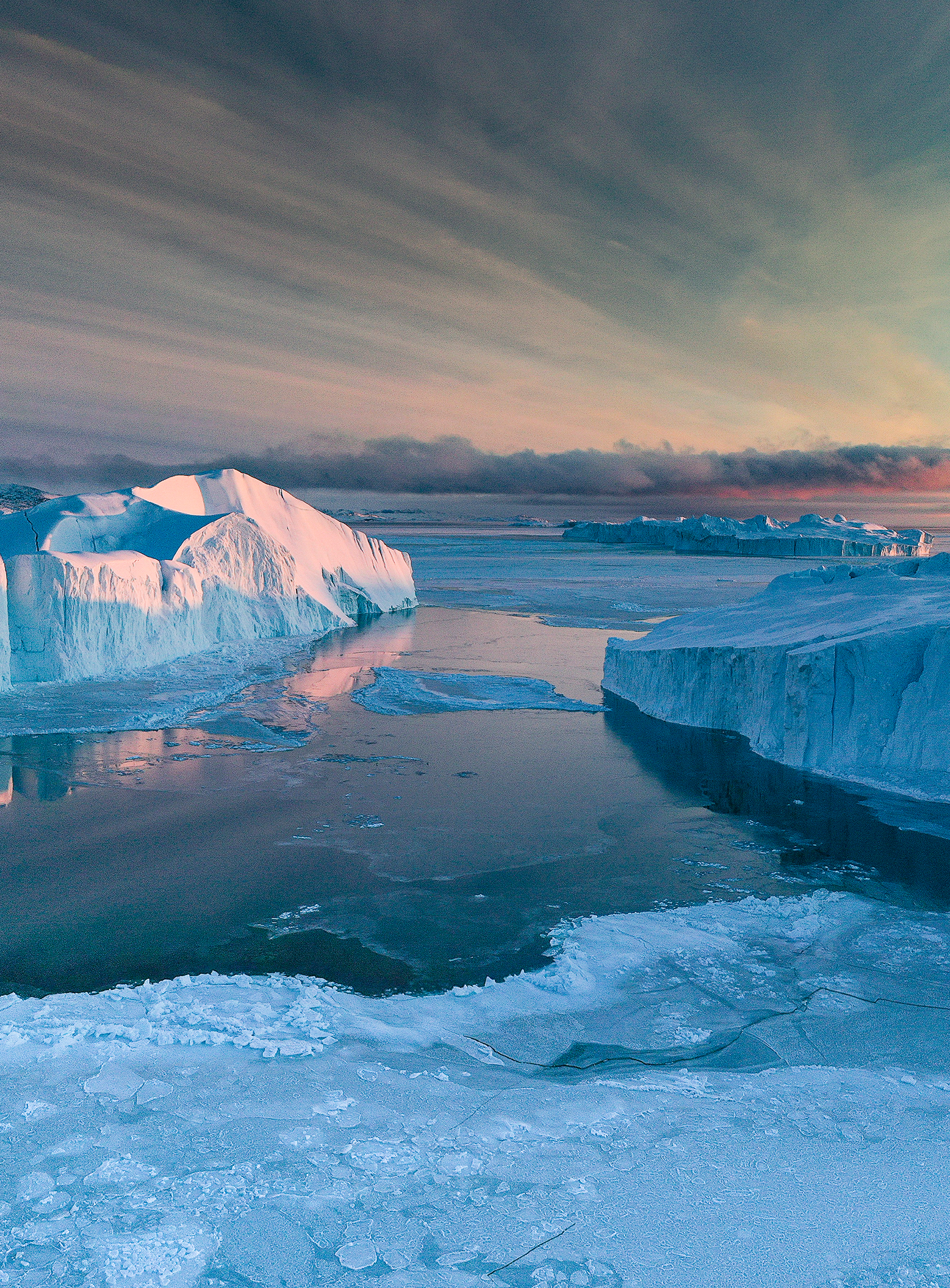 Arctic