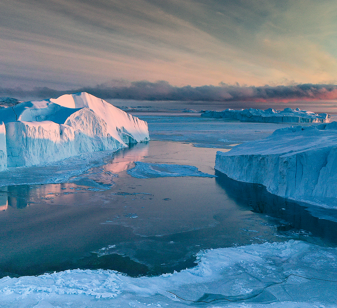 Arctic