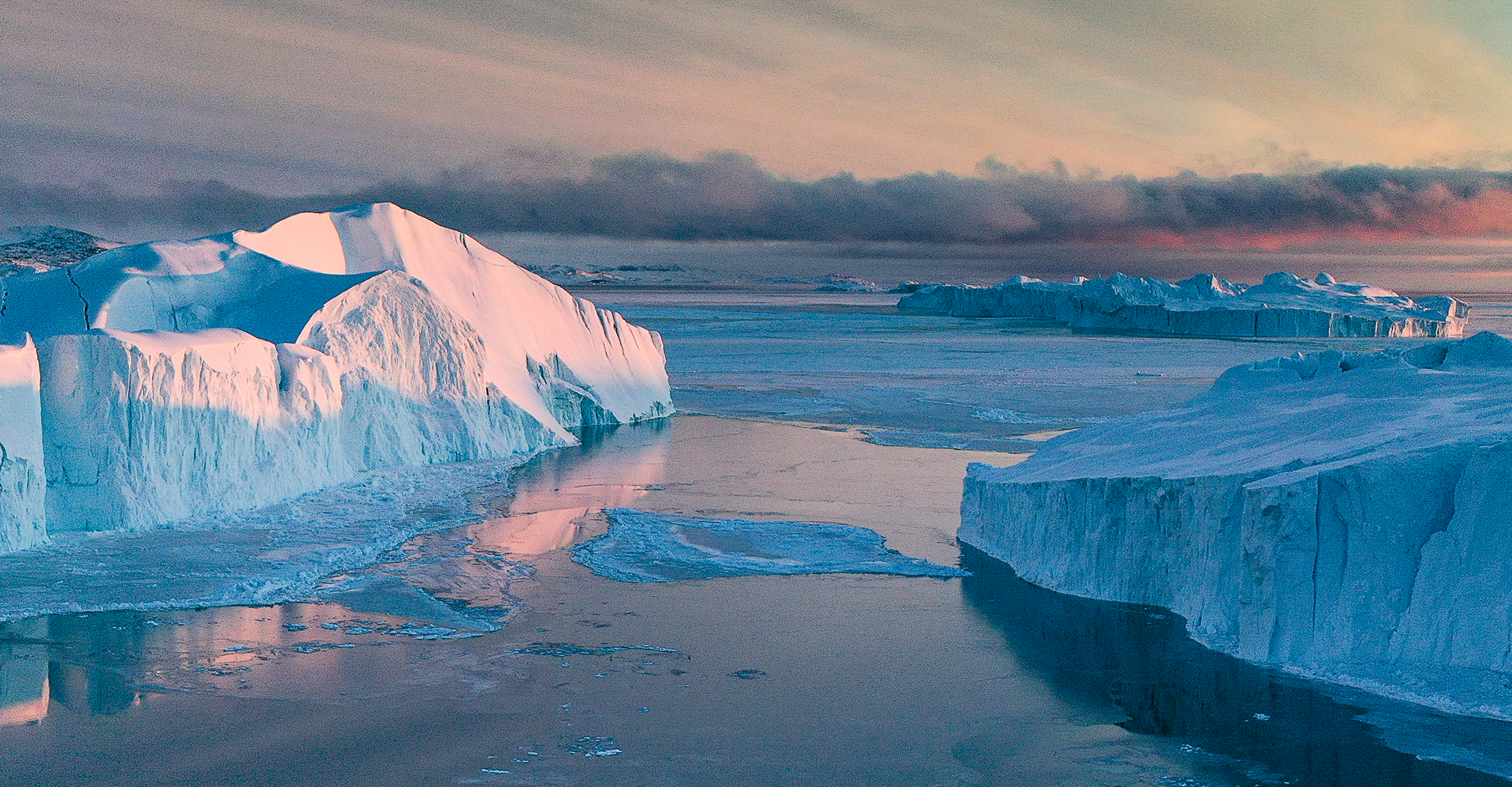Arctic