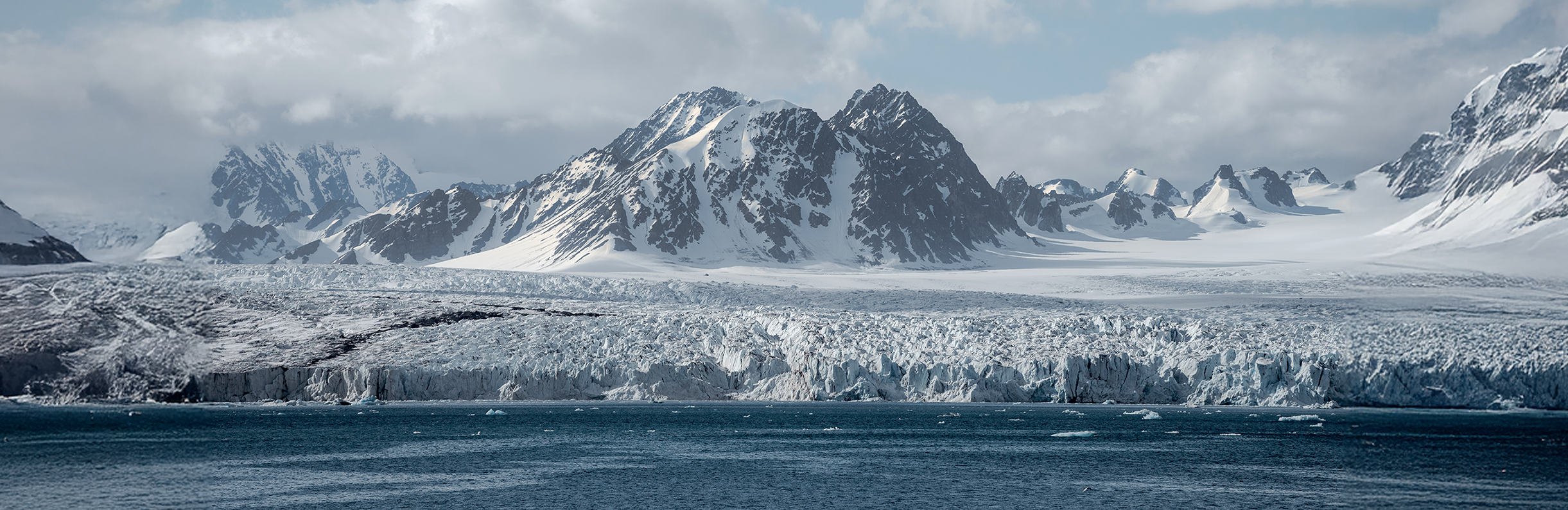 Arctic