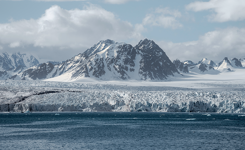 Arctic
