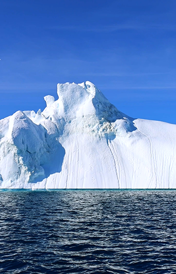 Arctic