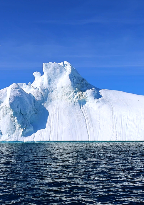 Arctic
