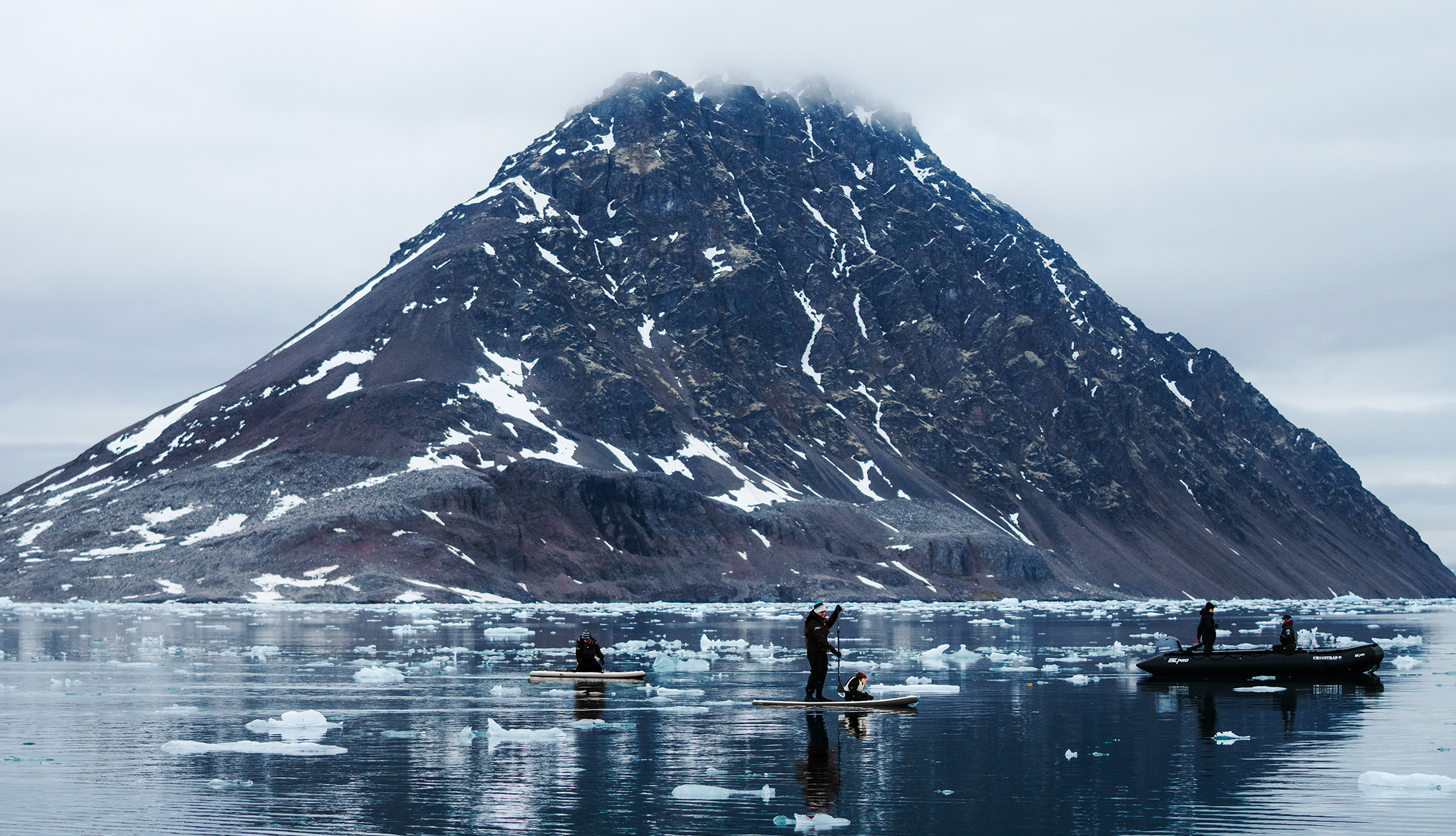 Arctic