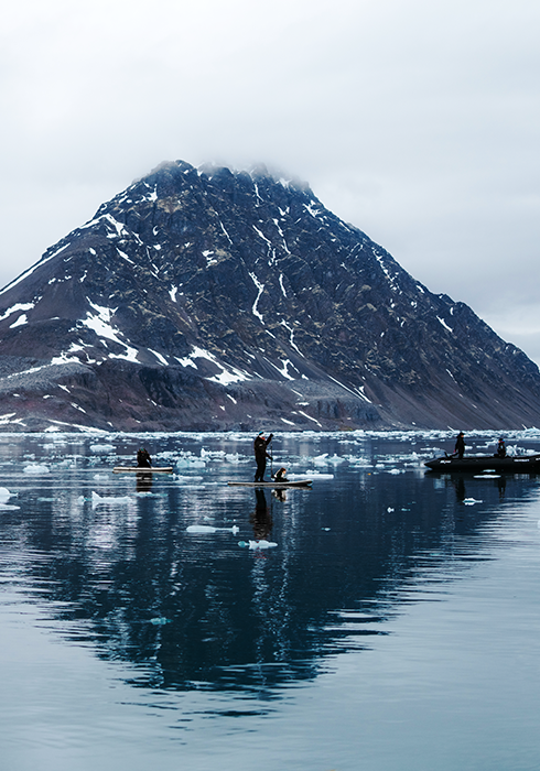 Arctic