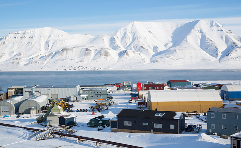 The Arctic