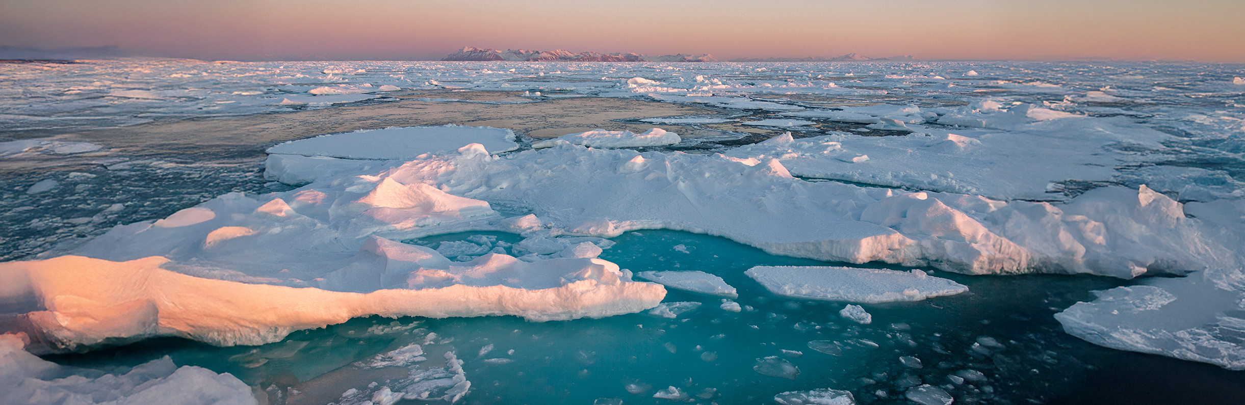 Arctic