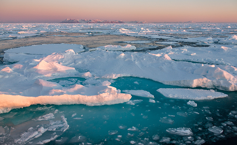 Arctic
