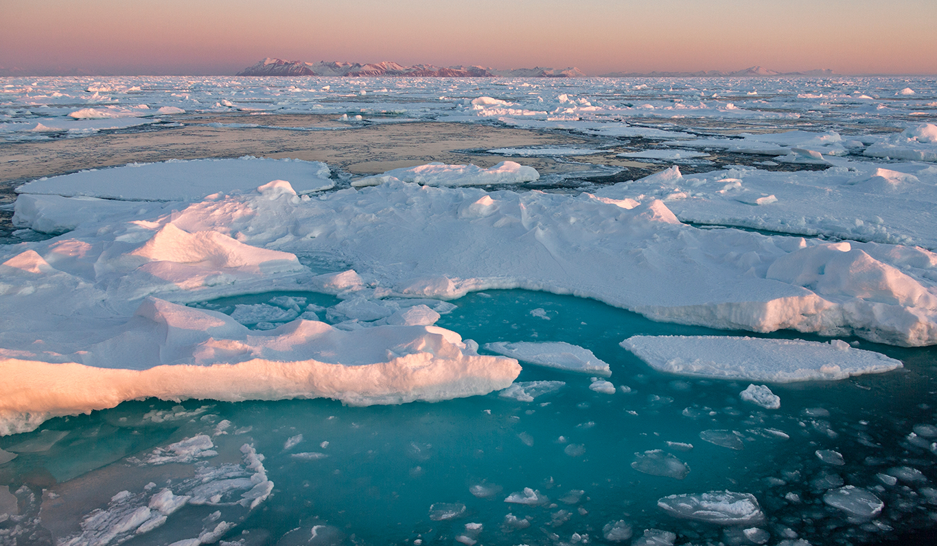 Arctic