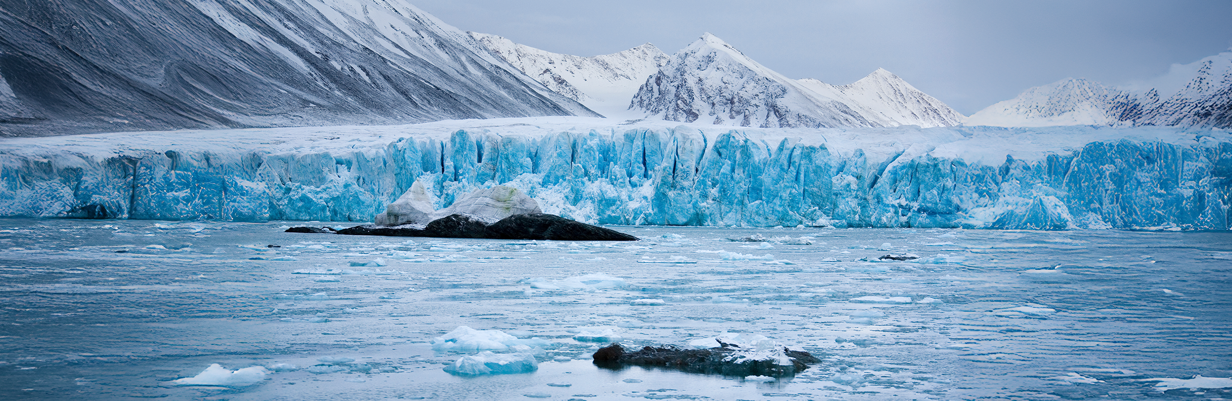 Arctic