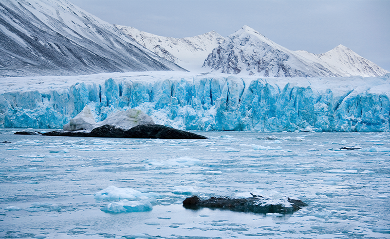 Arctic