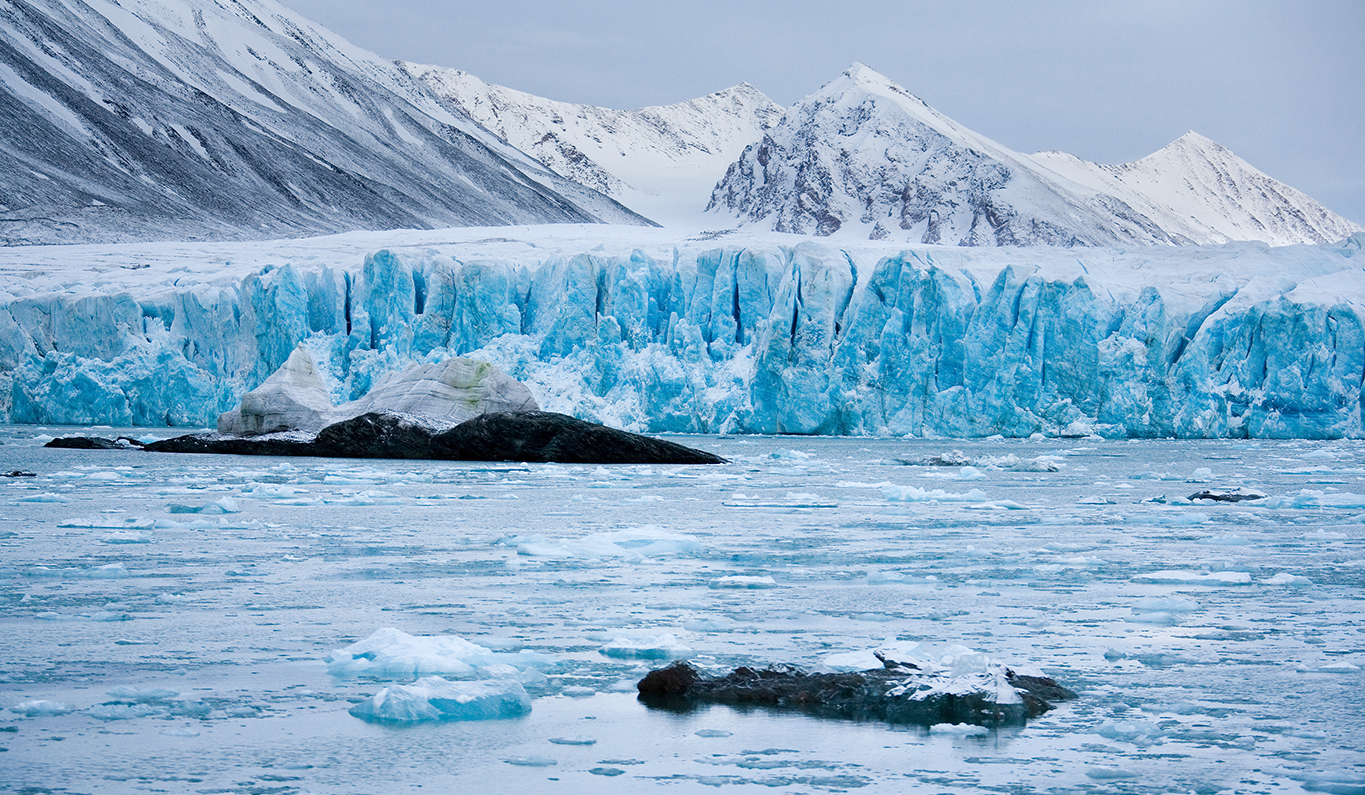 Arctic