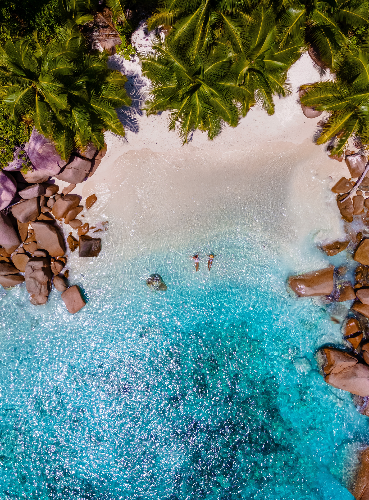 Seychelles Cruise
