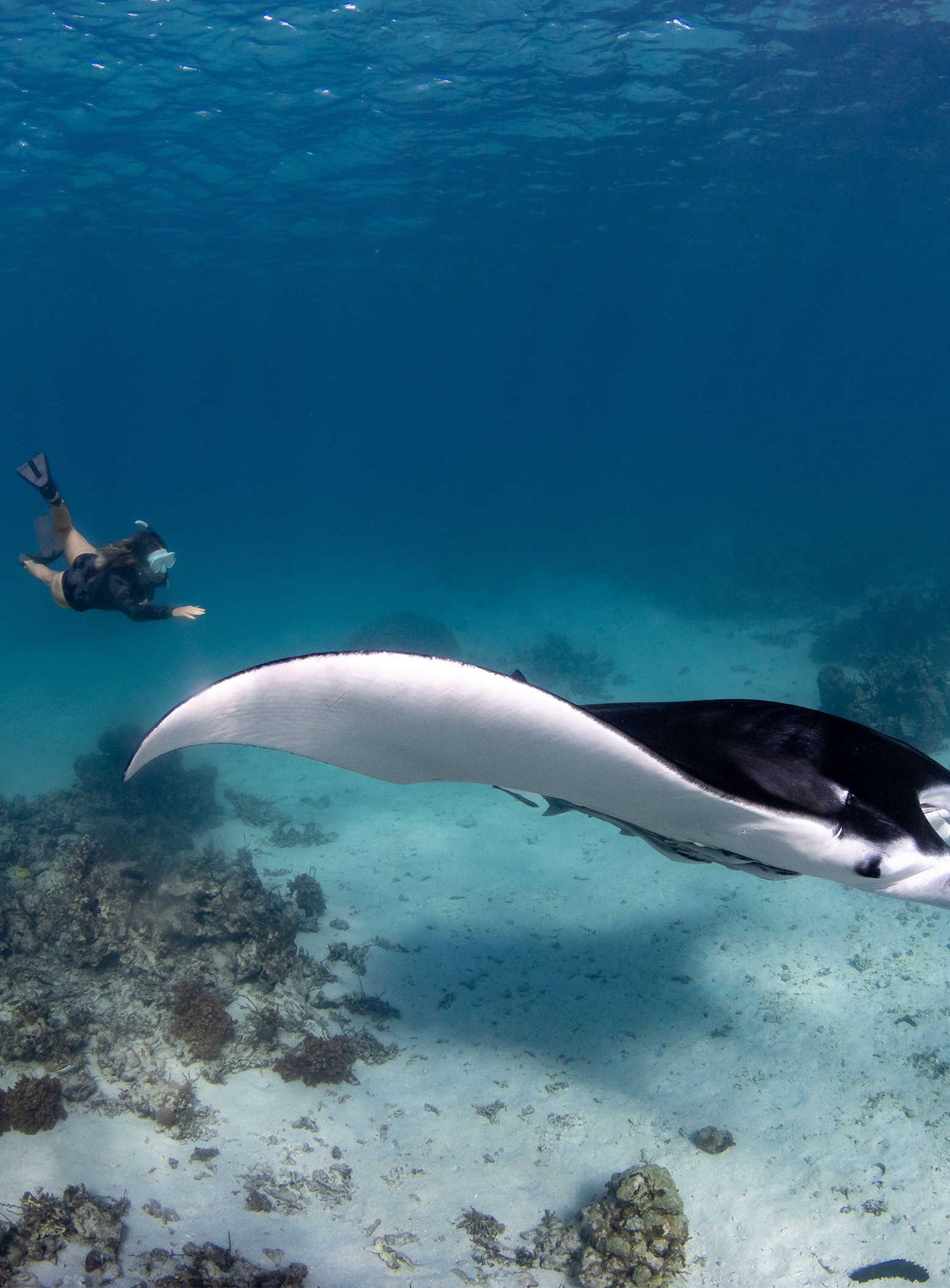 Seychelles Cruise