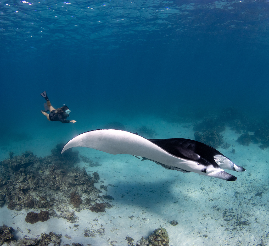 Seychelles Cruise