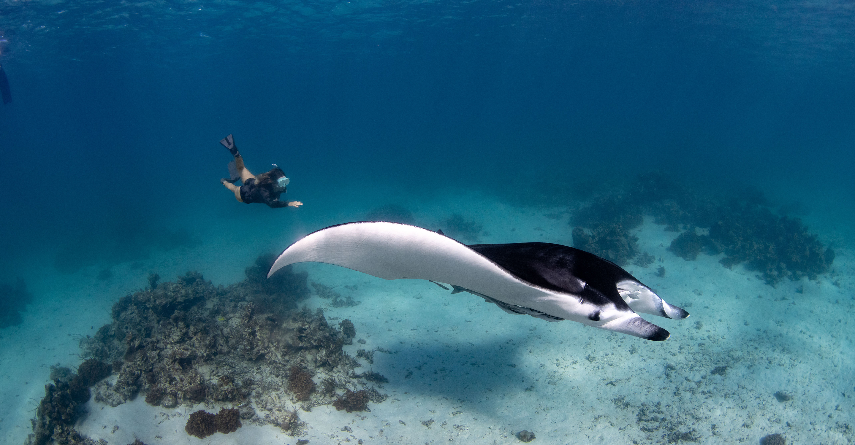 Seychelles Cruise