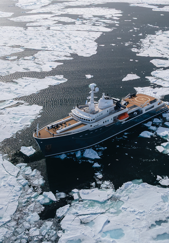 Arctic CHD M.png