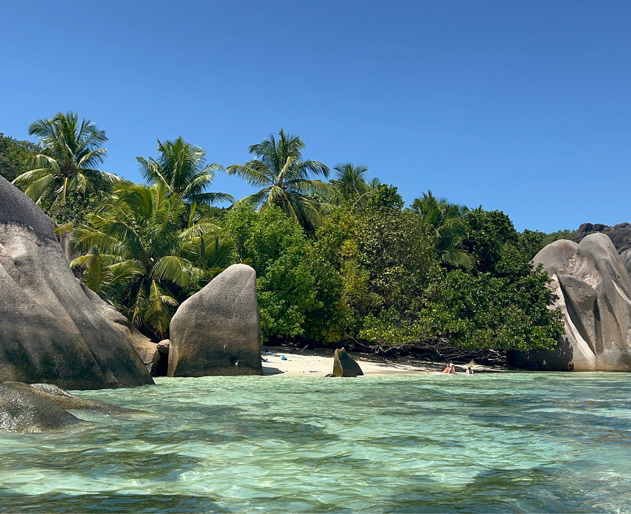 Seychelles CHD D&T.png
