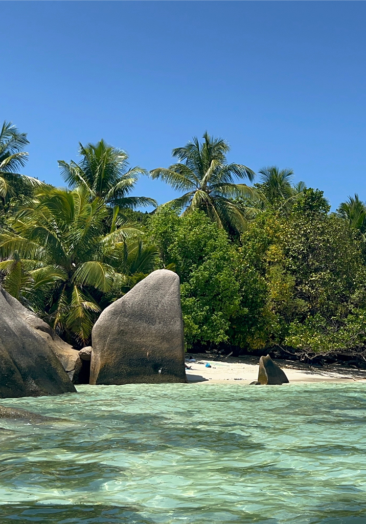 Seychelles CHD M.png