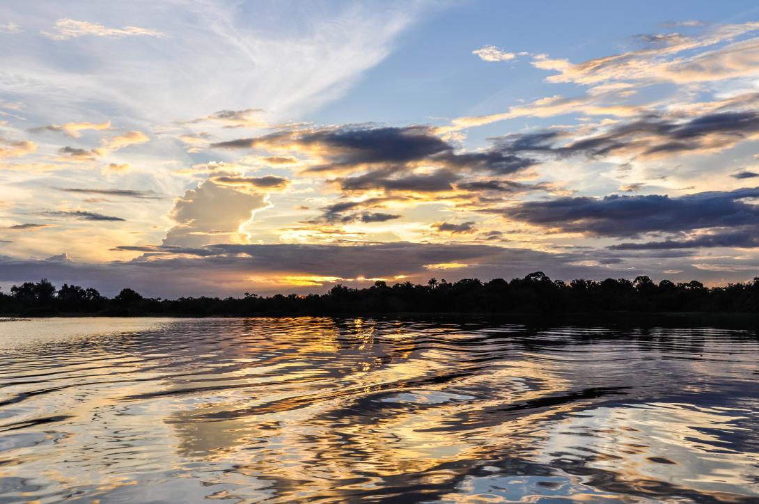 Amazon River landscape