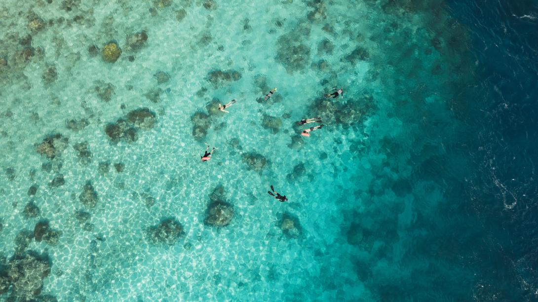 Top 10 Locations to Go Diving and Snorkeling in East Indonesia