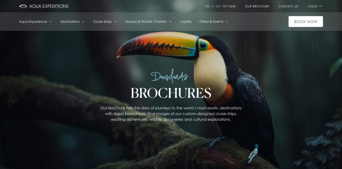 Download Brochures