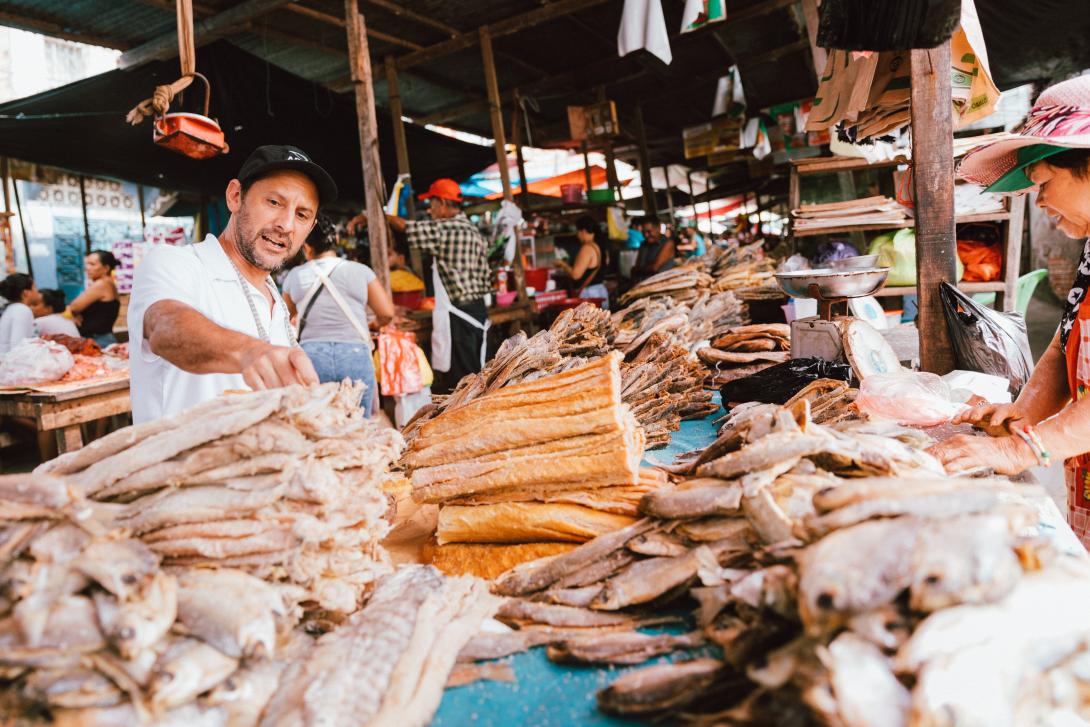 pedro miguel schiaffino market