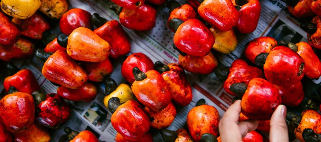 red pepper banner