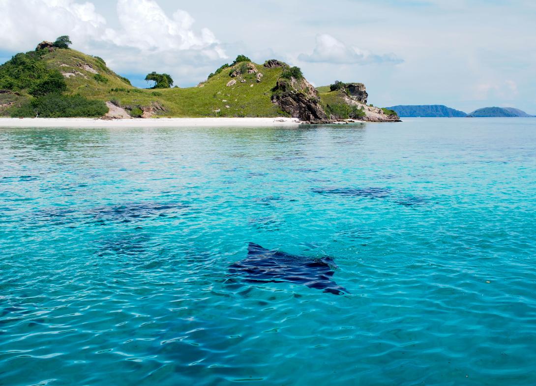 Top 10 Locations to Go Diving and Snorkeling in East Indonesia